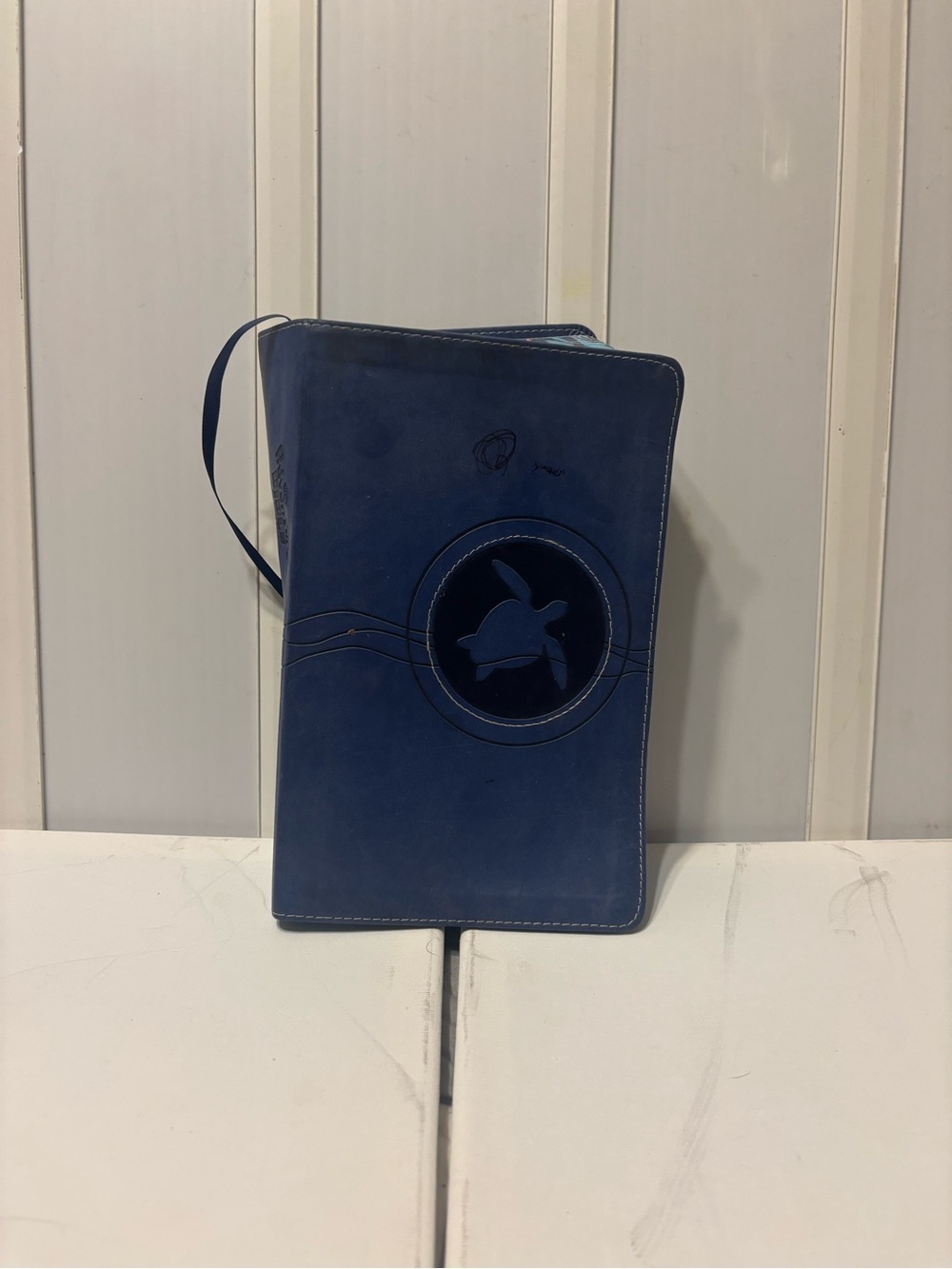 2014 NIRV Adventure Bible Early Readers Featuring Blue Turtle Cover (marked on)